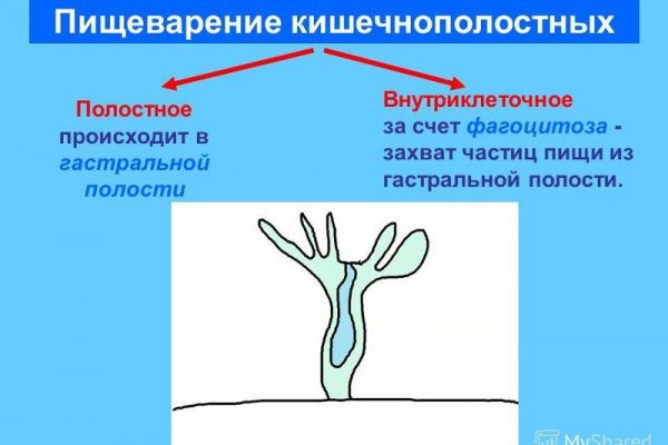 Маркетплейс кракен в россии